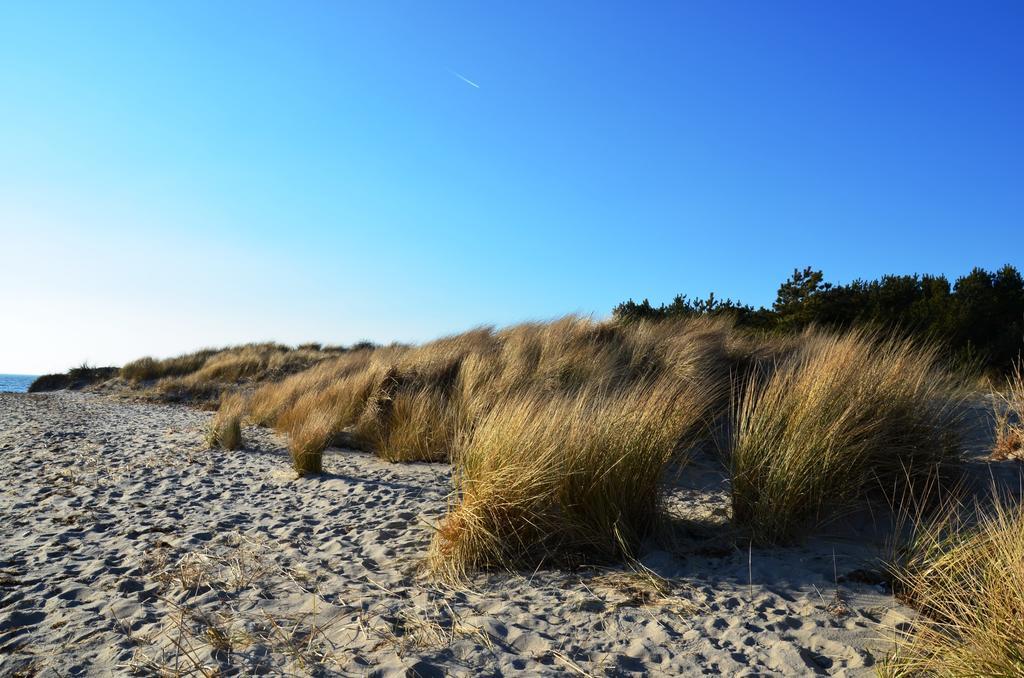 Strandapartment-Mondfisch An Der Ostsee Thiessow Room photo