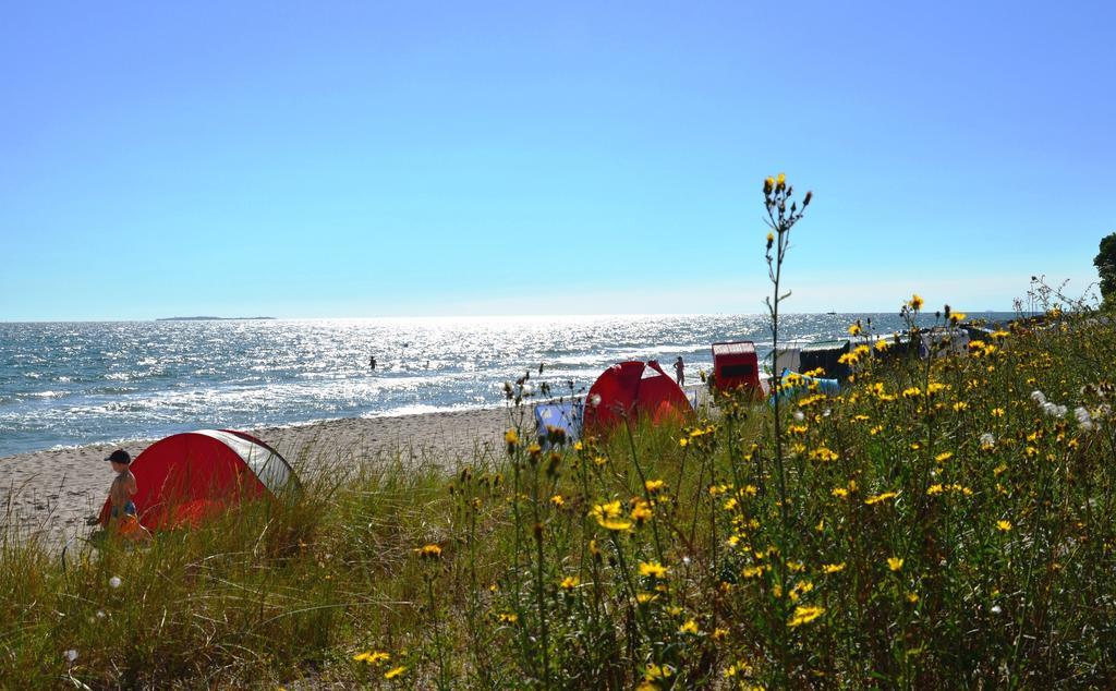 Strandapartment-Mondfisch An Der Ostsee Thiessow Room photo